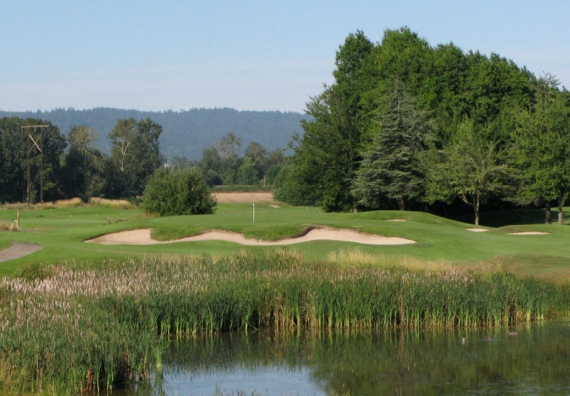 Heron Lakes Great Blue Hole #11