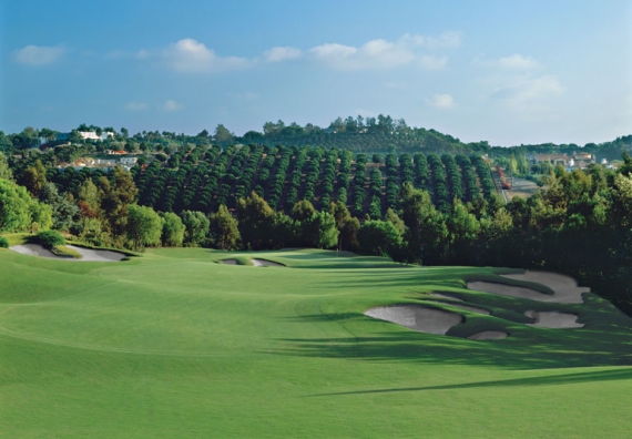 The Bridges at Rancho Santa Fe Hole #14