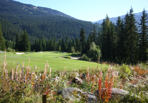 Chateau Whistler 