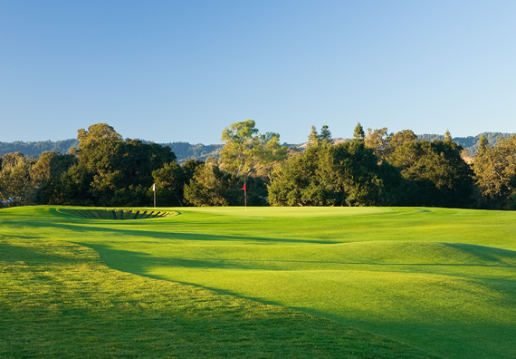Siebel Varsity Golf Training Complex Dye Road Game Green