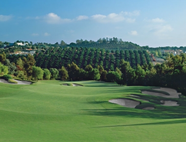 The Bridges at Rancho Santa Fe Hole #14